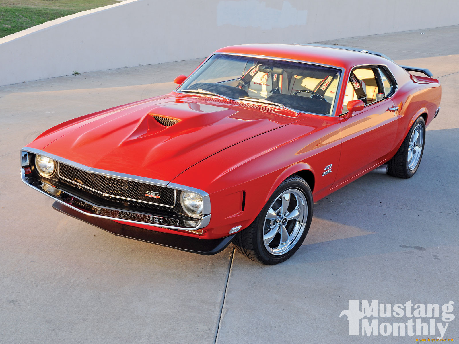 , mustang